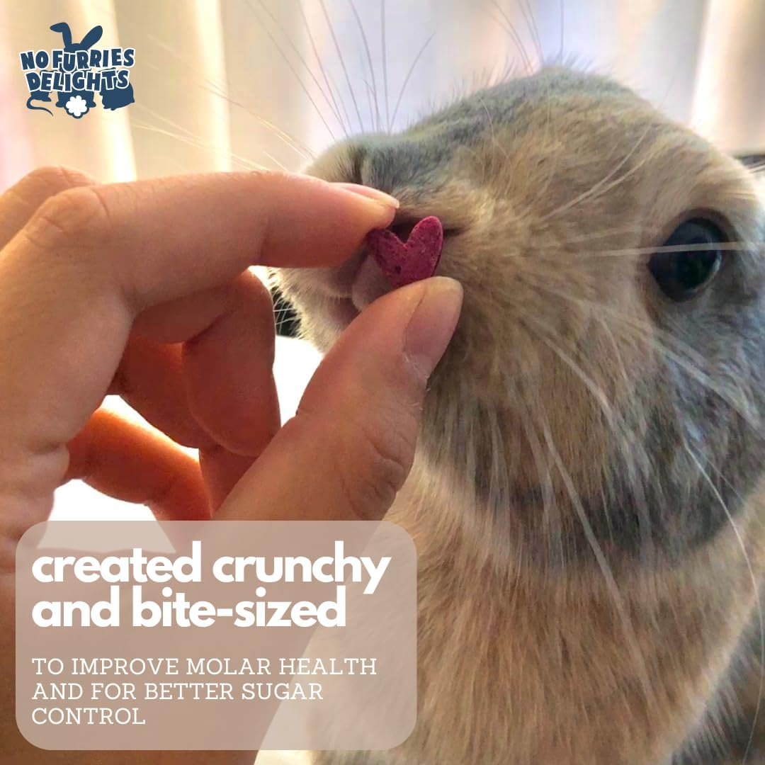 Treats, 100% All Natural Mini Bites for Rabbit Hamster Guinea Pig Chinchilla Pet Rat Mice Gerbil Bird, Healthy Enrichment Bonding Rewarding Training (Nature'S Variety Pack 50G)