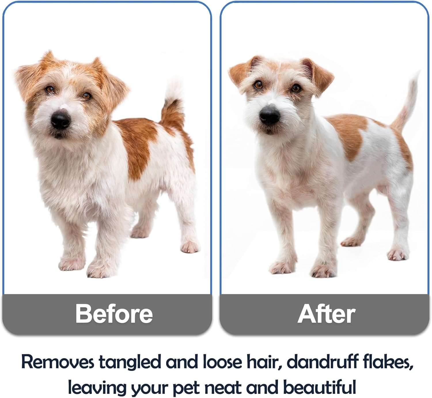 8Pcs Dog Eye Tear Stain Removal Combs Pet Grooming Comb Tear Stain Removal Stainless Steel and Plastic Multifunctional Double-Sided Fine-Tooth Lice Comb (Colorful) image number 4