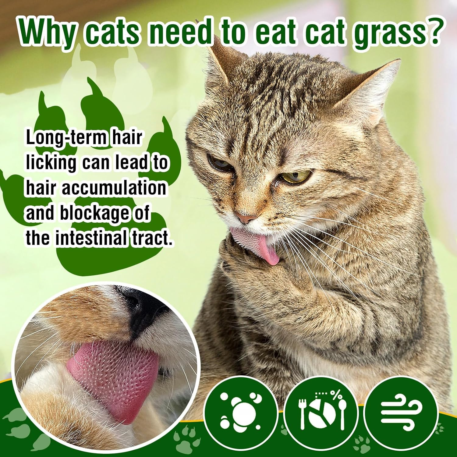 Cat Grass Teething Sticks, 50G Edible Freezed Drying Cat Grass Treats, Cats Snack for Hairball Removal and Dental Care image number 1
