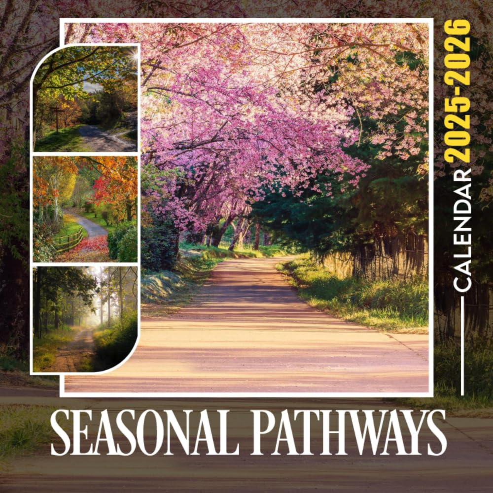 Calendar 2025: Monthly 2025 Planner Sections for Daily Note Entries from Jan 2025 to Dec 2025, Bonus 6 Month 2026, Great for Christmas