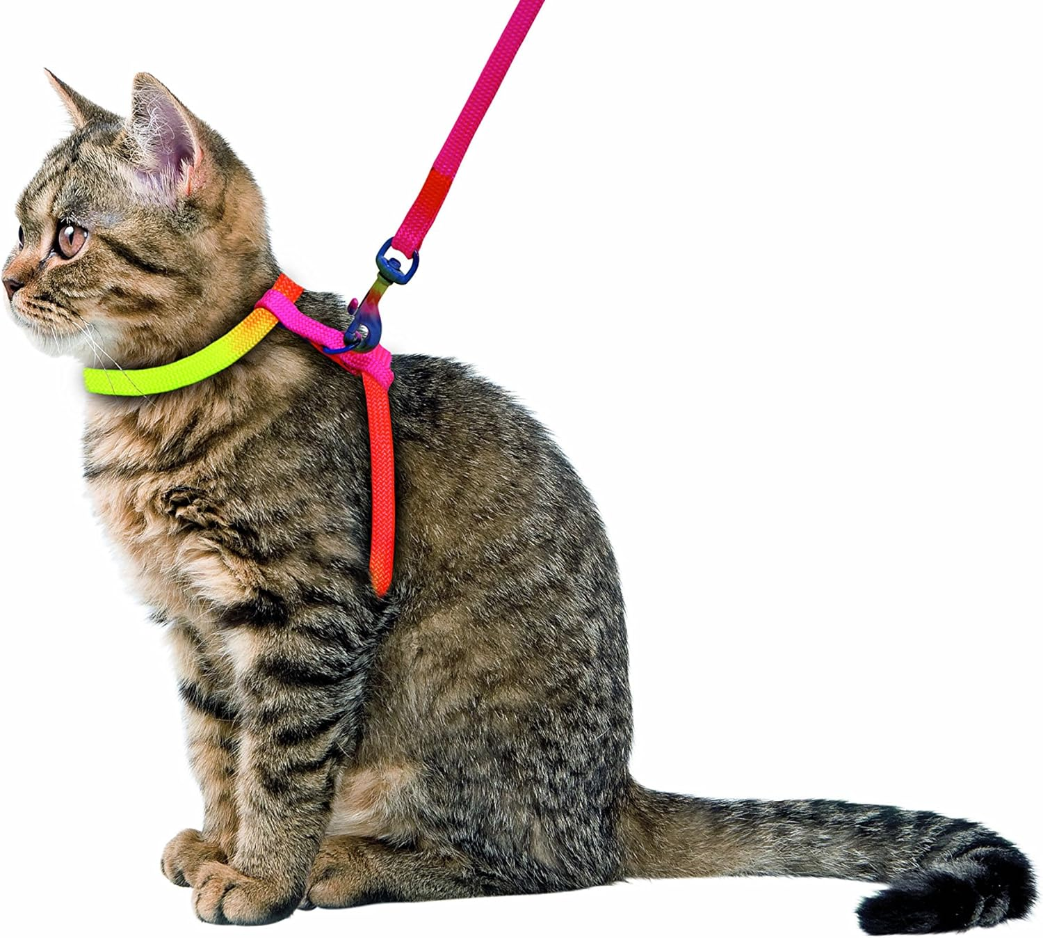 Kerbl Rainbow Harness-Set for Cats, 10 Mm/ 120 Cm