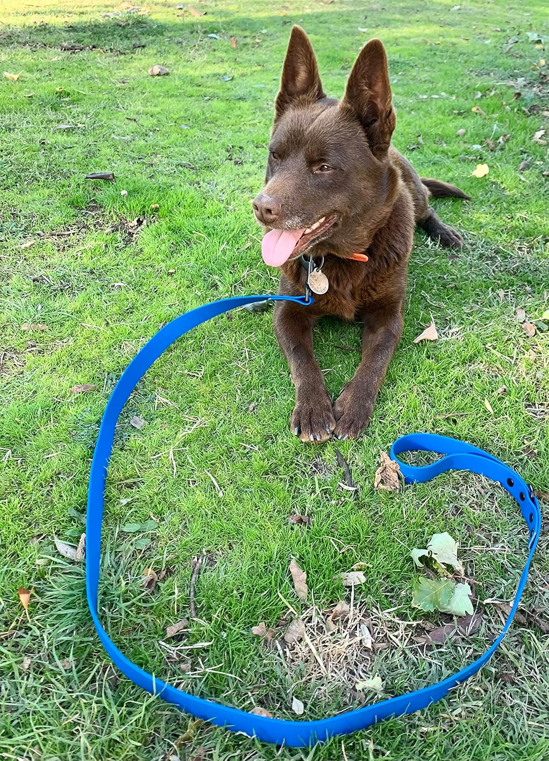 DROVERS Dog and Co Super Tuff Dog Lead - Stink Proof - Easy Clean - Extra Strong (Blue) image number 2