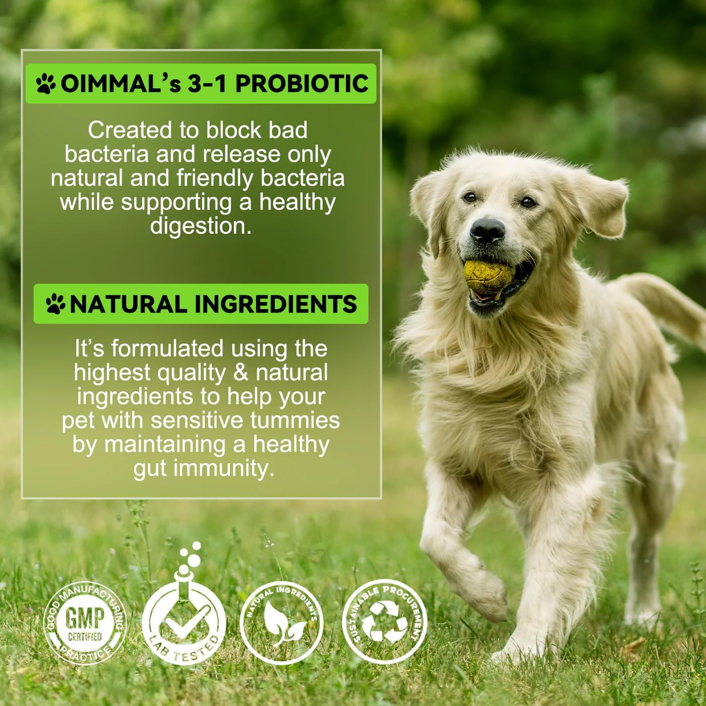 Probiotics for Dogs 60Ml | 3-In-1 Liquid Digestive Enzymes & Probiotic Supplement | Supports Gut Health, Digestion & Immunity | All Breeds & Ages | Bacon Flavour image number 3