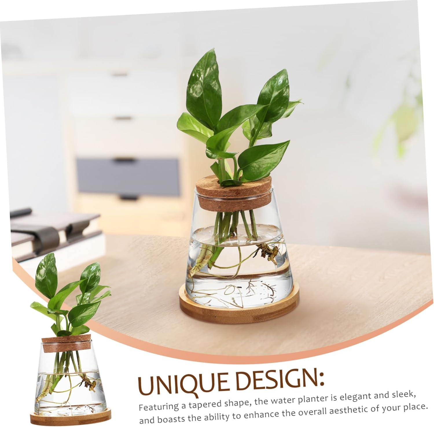 Gogogmee 2Pcs Hydroponic Propagation Station Glass Bottles with Wooden Cork and Bamboo Stand 330Ml for Indoor Plant Growing and Terrarium Gardening image number 5