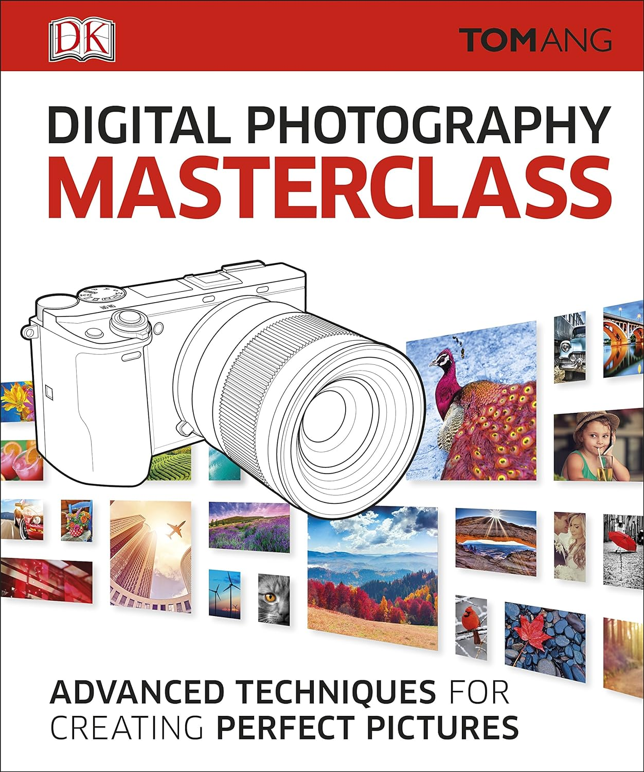Digital Photography Masterclass: Advanced Techniques for Creating Perfect Pictures image number 1