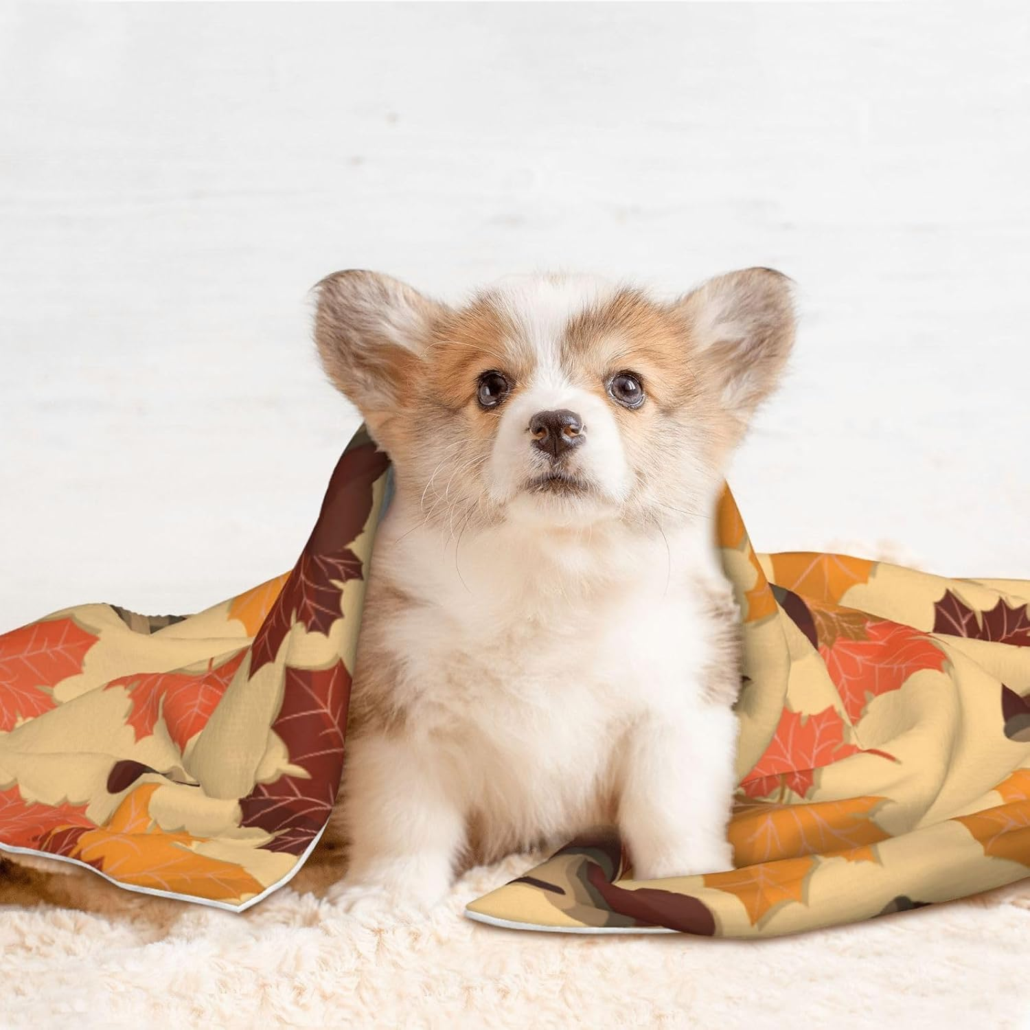 Plush Pet Blanket Pumpkins Moon Ghost Halloween 3D Paw Print Design Soft Fluffy Blankets Throw for Dog Puppy Cat Kitten Pets Gifts Medium