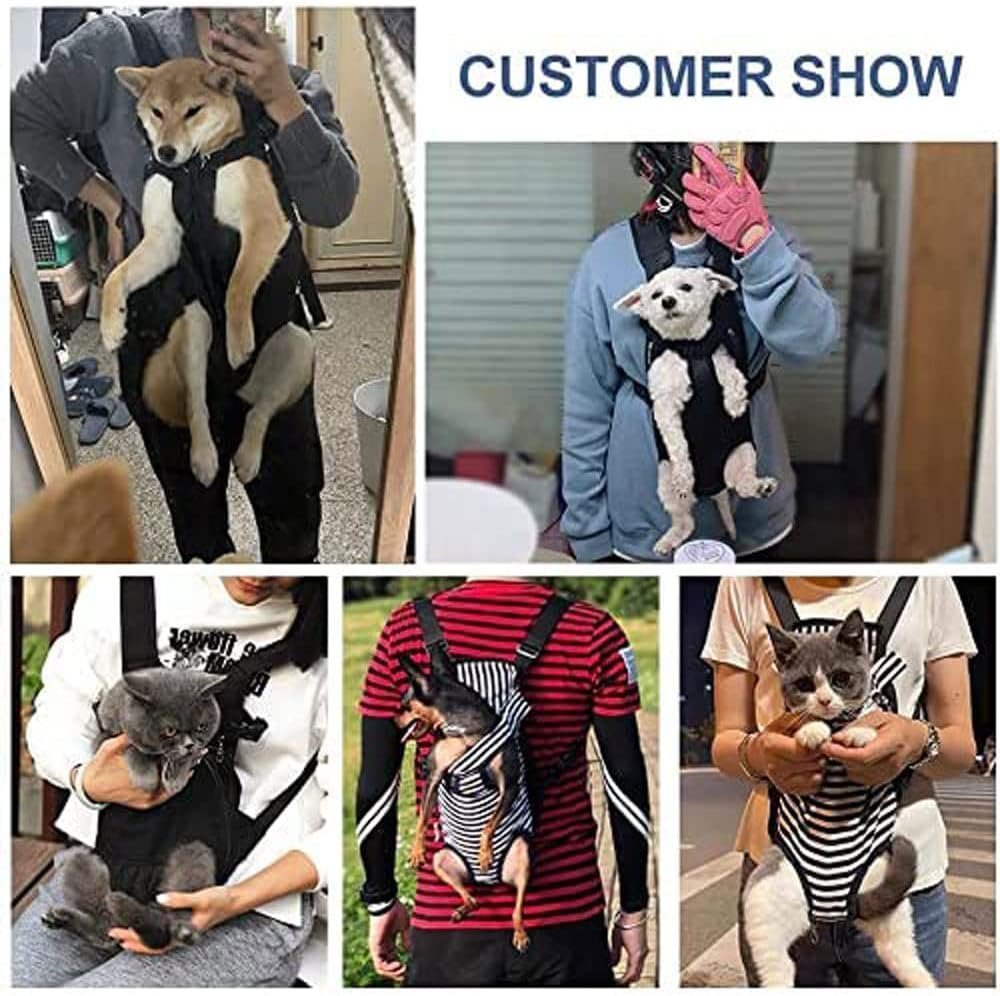 Pet Carrier Backpack, Adjustable Pet Front Cat Dog Carrier Backpack Travel Bag, Legs Out, Easy-Fit for Traveling Hiking Camping for Small Medium Dogs Cats Puppies (M) image number 6