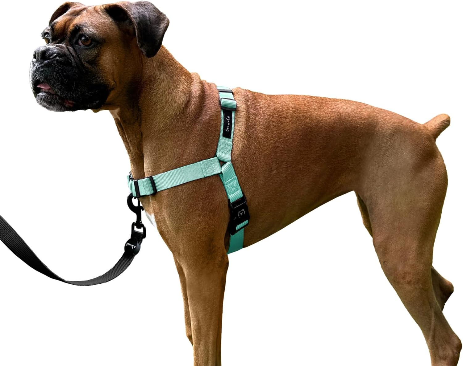 Shawnco Dream Walk No-Pull Dog Harness- Adjustable, Comfortable, Easy to Use Pet Halter to Help Stop Pulling for Small, Medium and Large Dogs- Art Pattern Designs (Montana Daydream, M) image number 4
