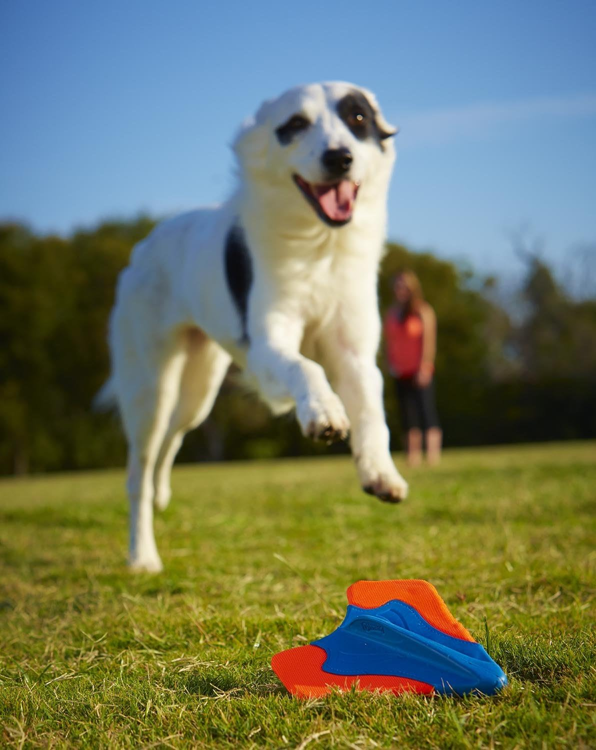 Chuckit! Ultra Wing Dog Toy image number 3