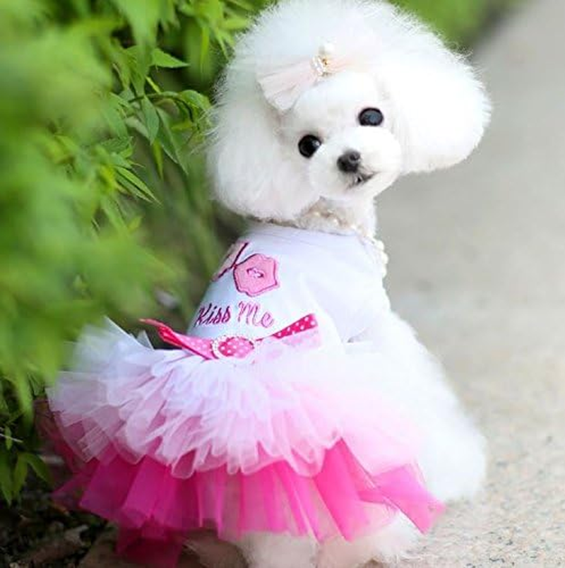 PIXRIY Dog Dress Tutu Skirt Princess Puppy Dress Vest Cute Spring Summer Pet Clothes Apparel for Small Dogs and Cats image number 1