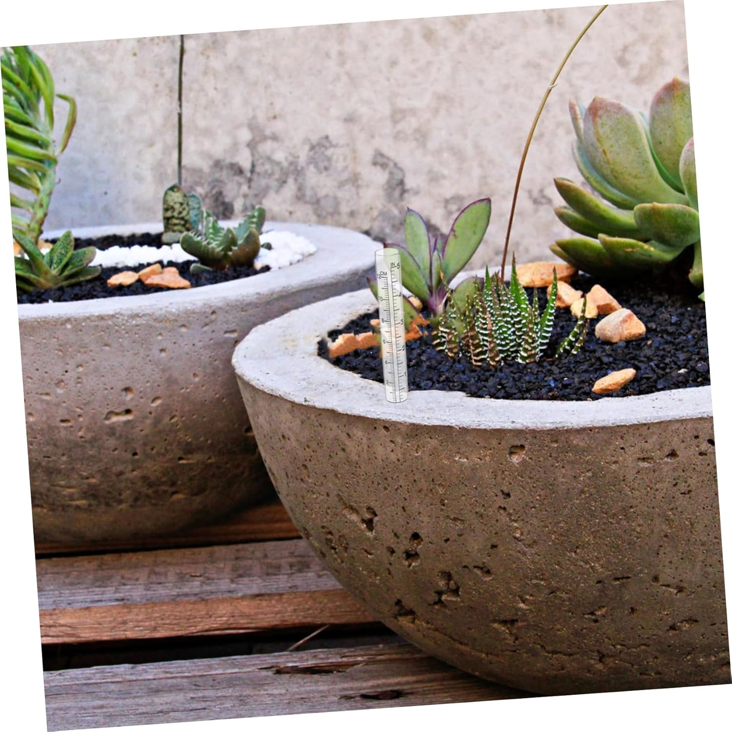 CLISPEED 2Pcs Grass Gauge Garden Water Measuring Tool Large Rain Gauge Outdoor Decorative Replacement Tube Transparent image number 1