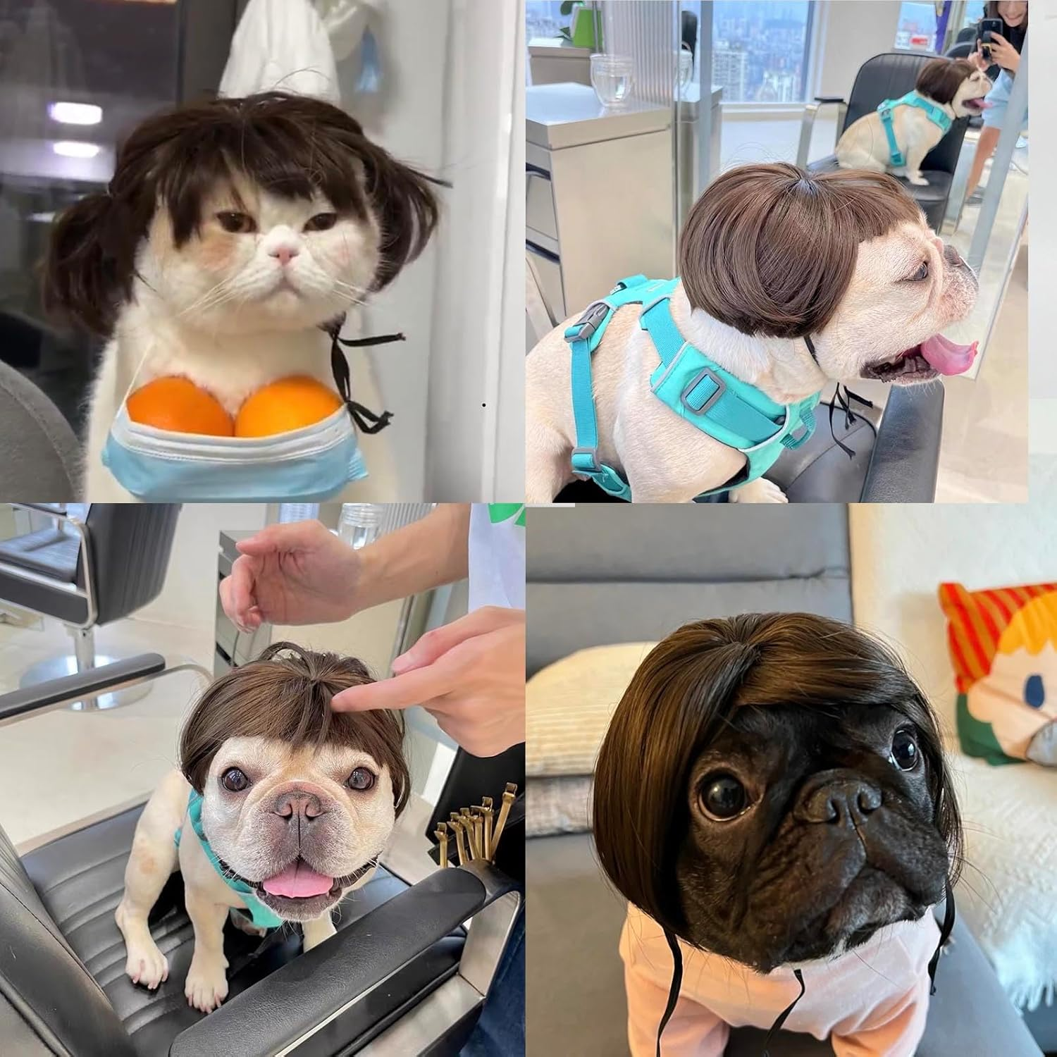Funny Pet Wig &ndash; DIY Haircut & Adjustable Fit &ndash; Cat & Dog Costume for Halloween, Party, Photo Shoots &ndash; 3D Natural Look &ndash; Fits 5Kg-50Kg Pets image number 5