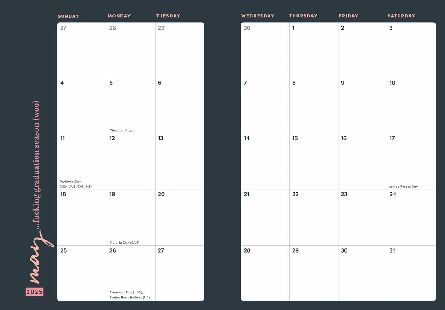 2025 She Believed She Could so She F*Cking Did Planner image number 1