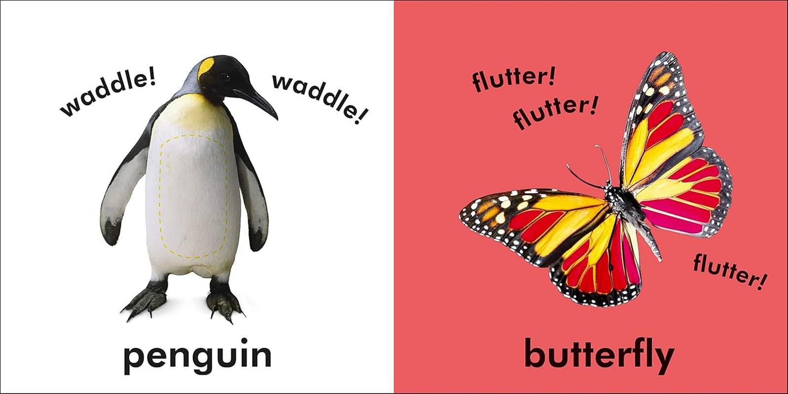 Baby Touch and Feel Animals image number 5