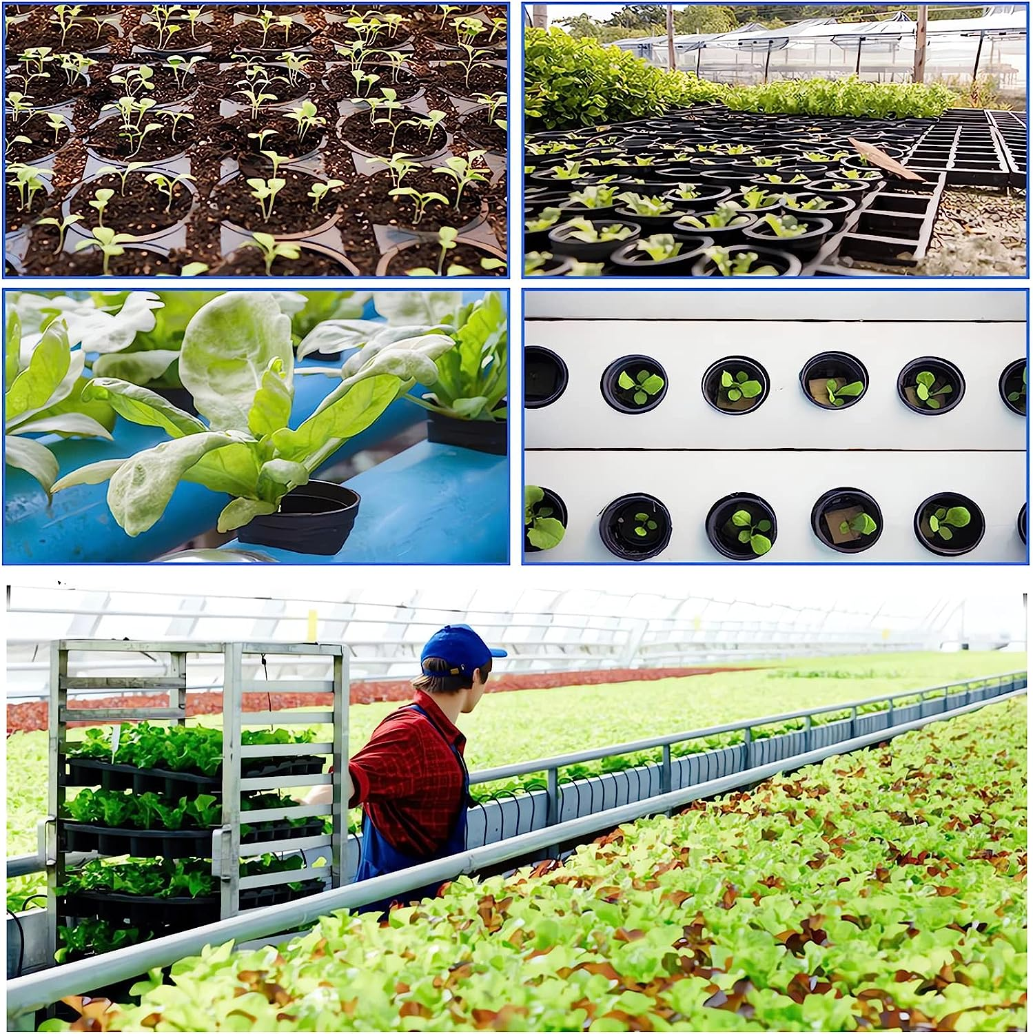 100 Pack Garden Slotted Mesh Net Cups, 2" round Hydroponic Net Pots Cups, Wide Lip Bucket Basket for Hydroponics for Hydroponics & Aquaponics, Indoor and Outdoor Plant Growth, Multi-Purpose