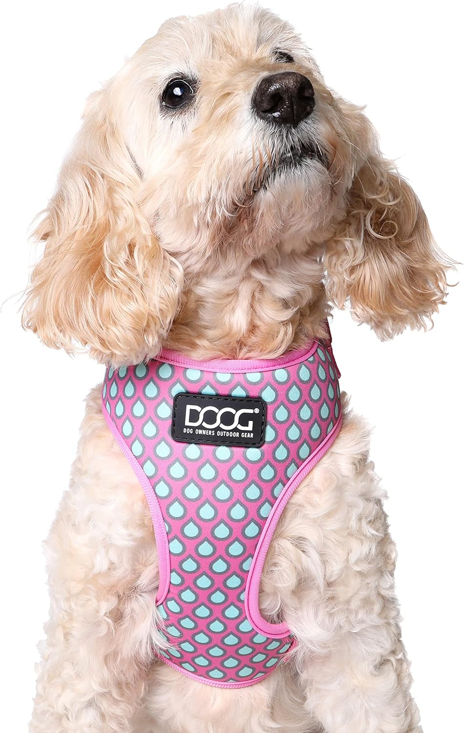 DOOG -Neoflex Dog Harness Luna, Large image number 4