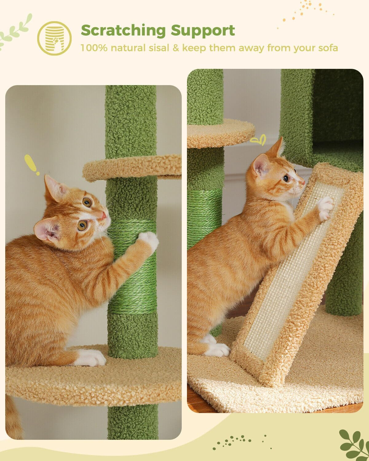 PAWZ Road Cat Tree, Floor to Ceiling Cat Tower Height Adjustable(230-252Cm), Cactus Cat Climbing Tree with Cat Condo, Cozy Hammock and Cat Scratching Posts for Indoor Large Cats, Green image number 5