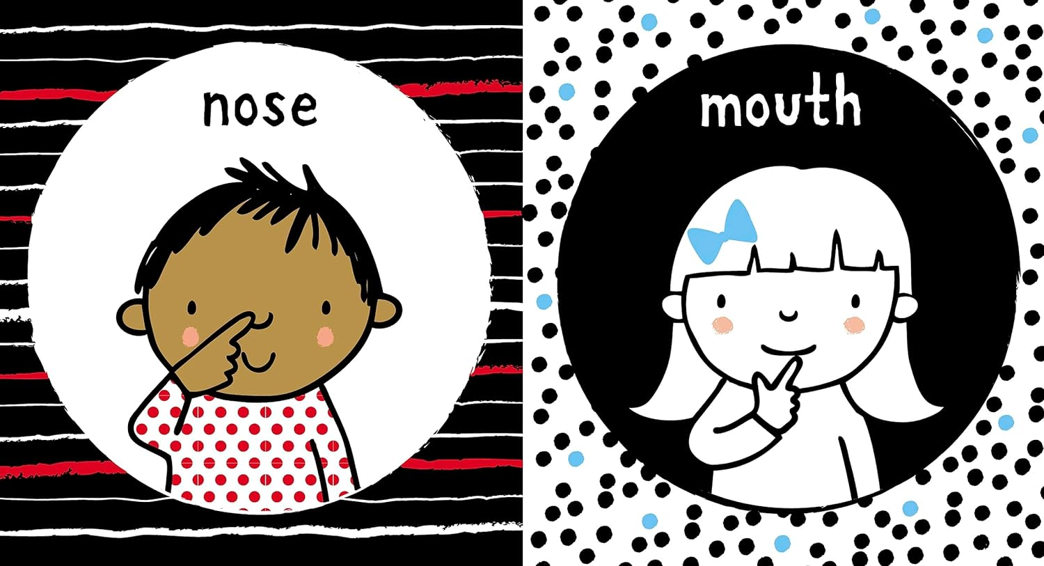 Babys Very First Black and White Little Library