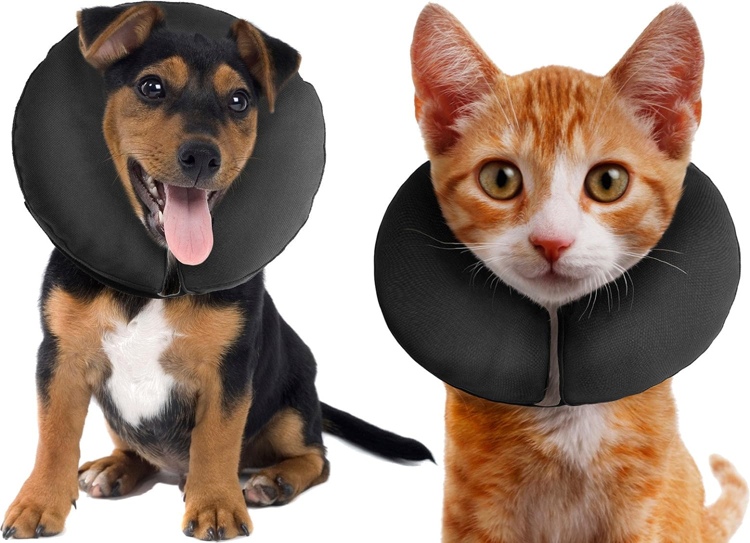 Zenpet PRO Collar, Grey, Small (15-25Cm)