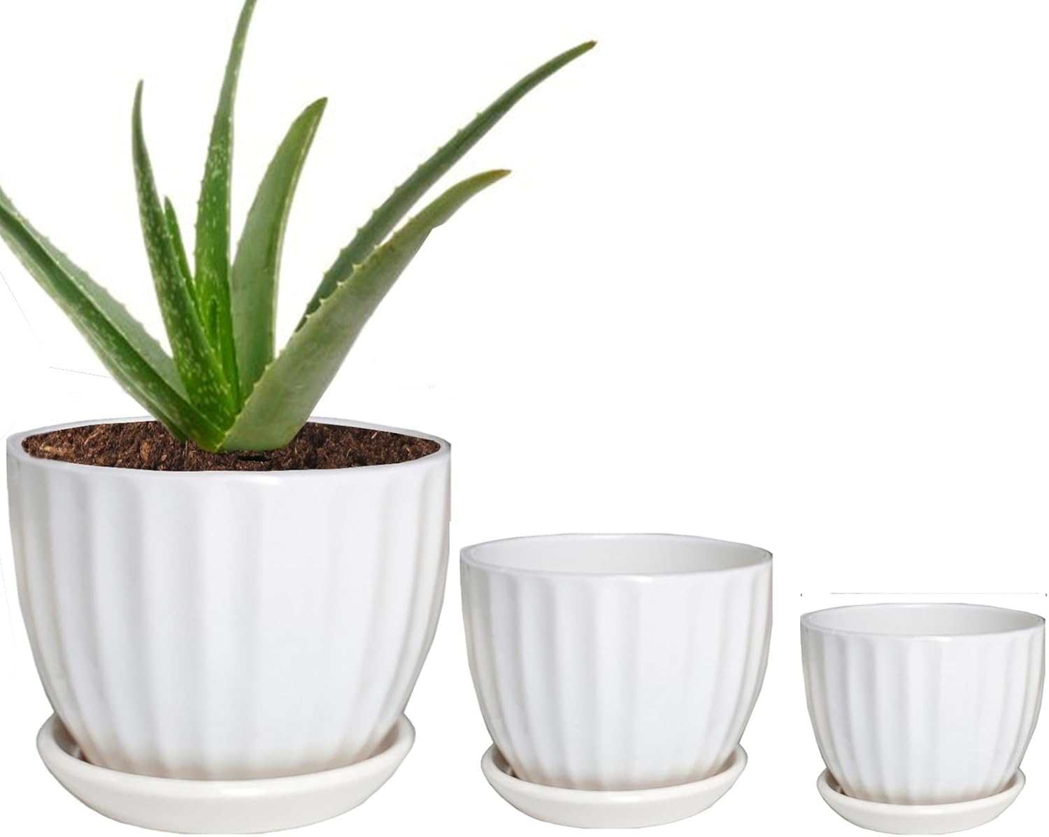 NASHRIO 3-Piece Small Ceramic Plant Pots with Drainage Holes - Indoor/Outdoor Decorative Flower Pots for Succulents, Mini Cacti, Herbs (Set of 3) (A)