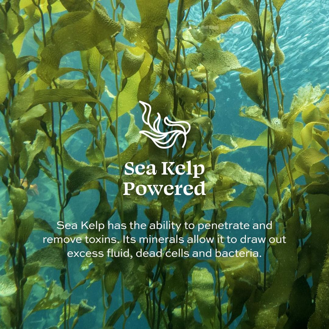 Aleavia Body Cleanse &ndash; Organic & All-Natural Prebiotic Body Wash &ndash; Fragrance-Free and Sulfate-Free Enzymatic Body Cleanser &ndash; 16 Oz. image number 2