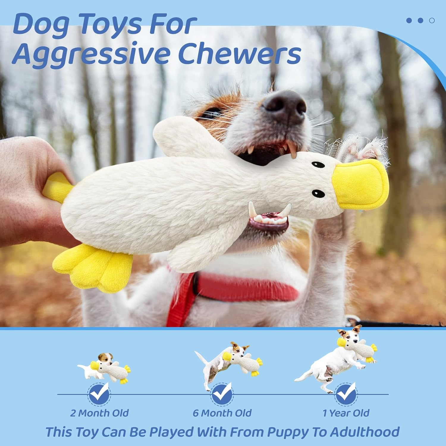 Dog Duck Toys - Interactive Dog Toy, Soft Plush No Stuffing Crinkle Dog Chew Toys, Cute Squeaky Puppy Toy Pet Supplies for Small Medium and Senior Pets Enrichment, Durable Birthday Gift image number 5