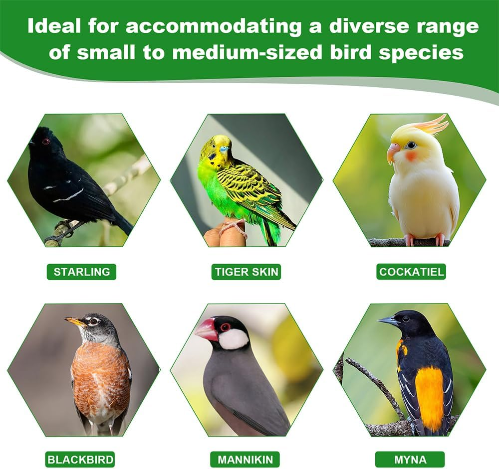 Automatic Bird Cage Water Dispenser - Cactus No-Spill Feeder for Parakeet, Cockatiel, Budgie & Small Birds image number 3