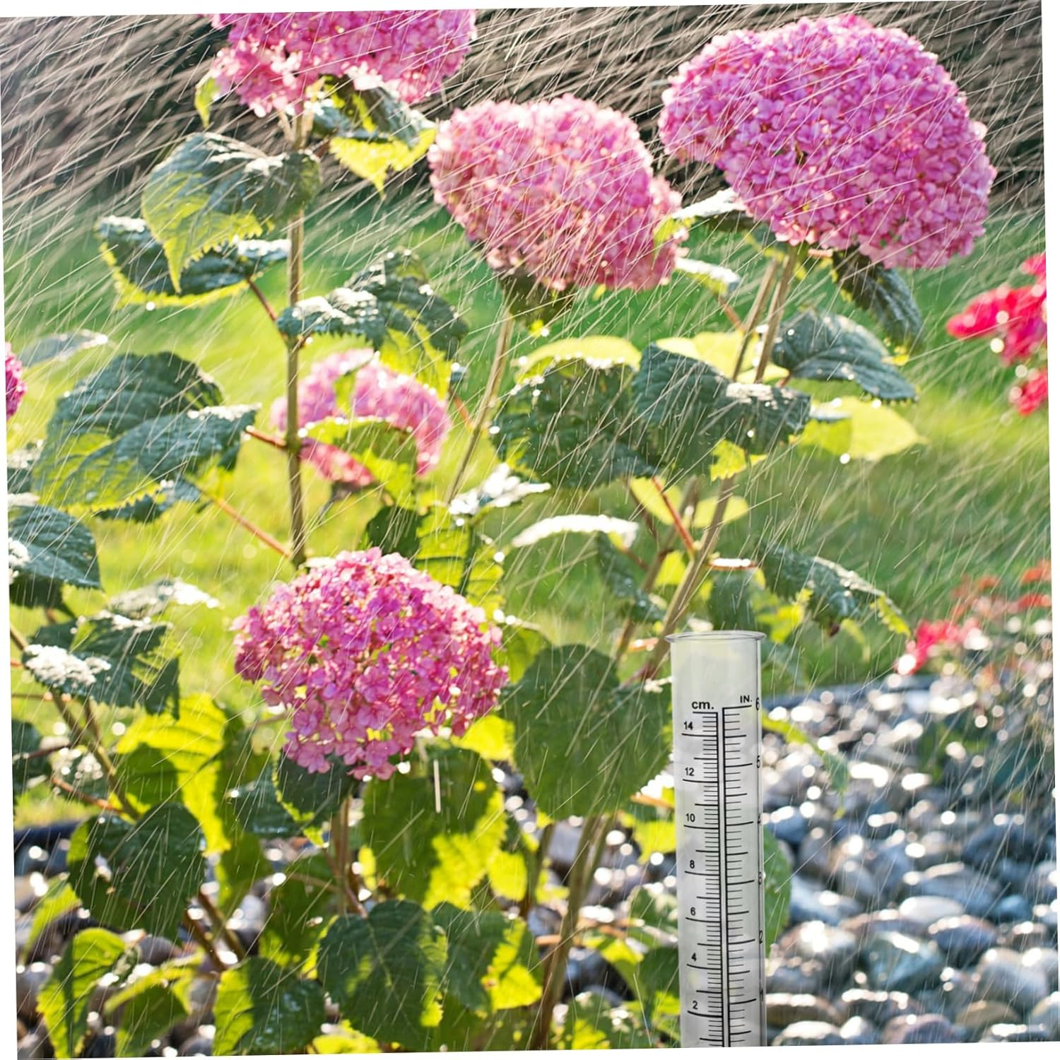 Toyvian 2Pcs Transparent Plastic Rain Gauges with Scale Rain Measuring Tubes for Garden Lawn Outdoor Water Collection and Precipitation Monitoring image number 3