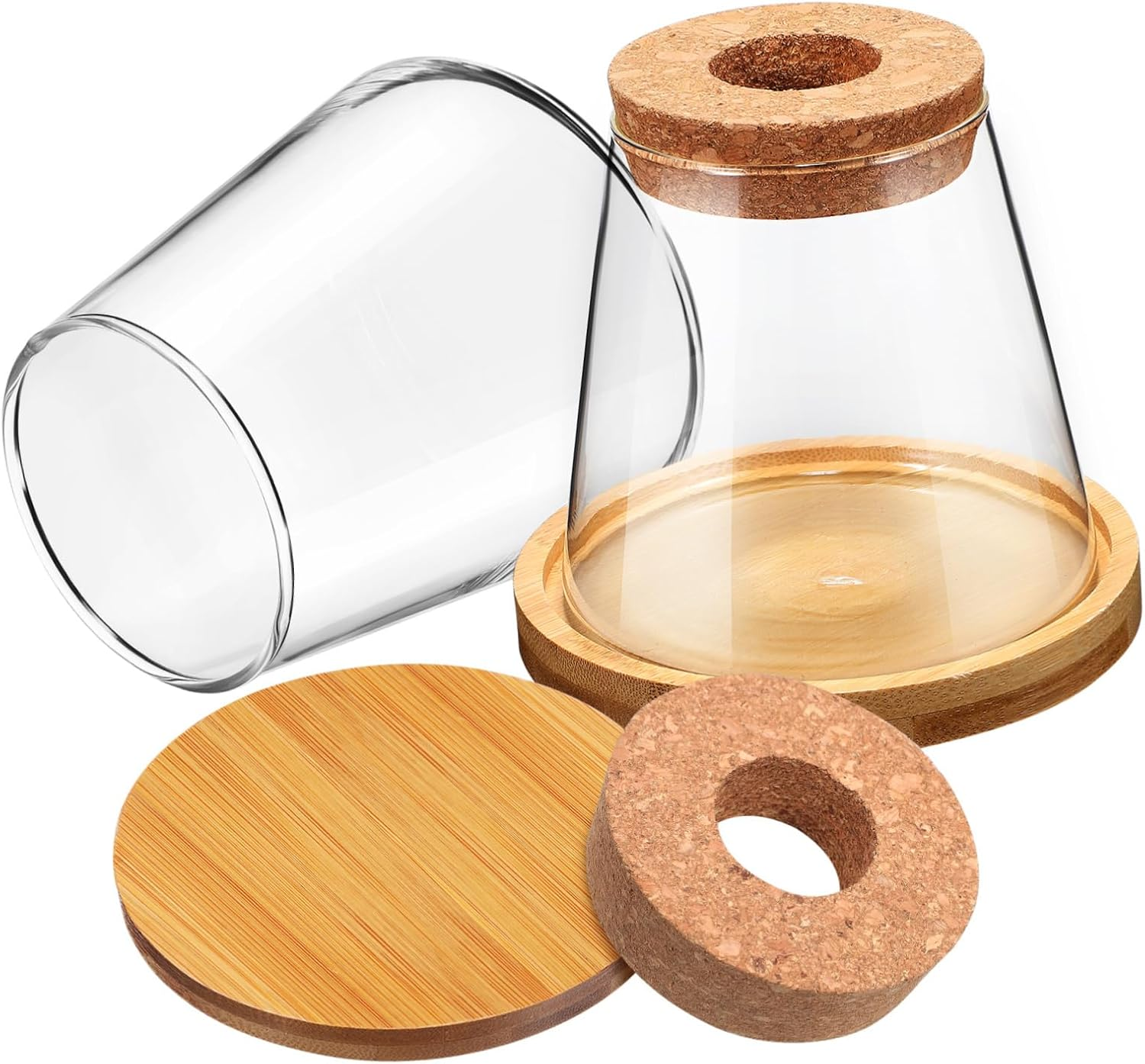 Gogogmee 2Pcs Hydroponic Propagation Station Glass Bottles with Wooden Cork and Bamboo Stand 330Ml for Indoor Plant Growing and Terrarium Gardening image number 1