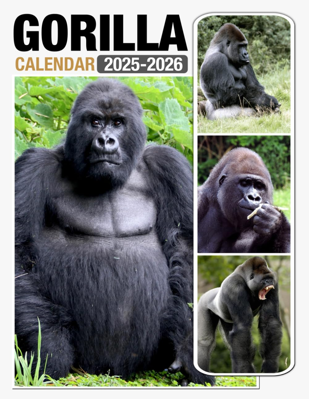 Gorilla Calendar 2025 - 2026: Spread Joy and Stay Organized with 24-Month 2025-2026, Including US Holidays - Ideal for Gifting or White Elephant Parties, the Perfect Christmas Gift!