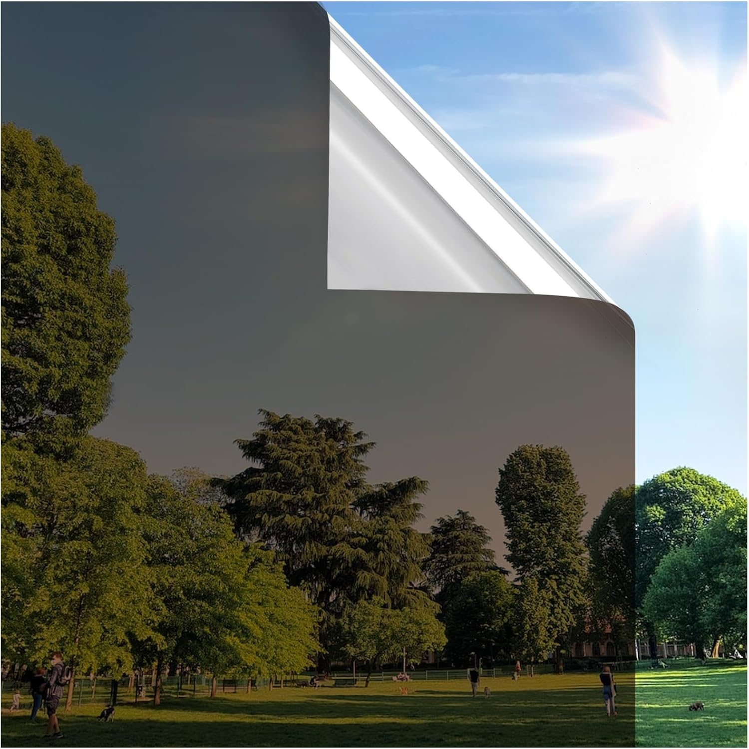 Rabbitgoo Blackout Window Film Privacy Window Cling Dark Window Tinting Film Non-Adhesive Window Sticker Light Blocking (Matte Black, 44.5 X 200 Cm)