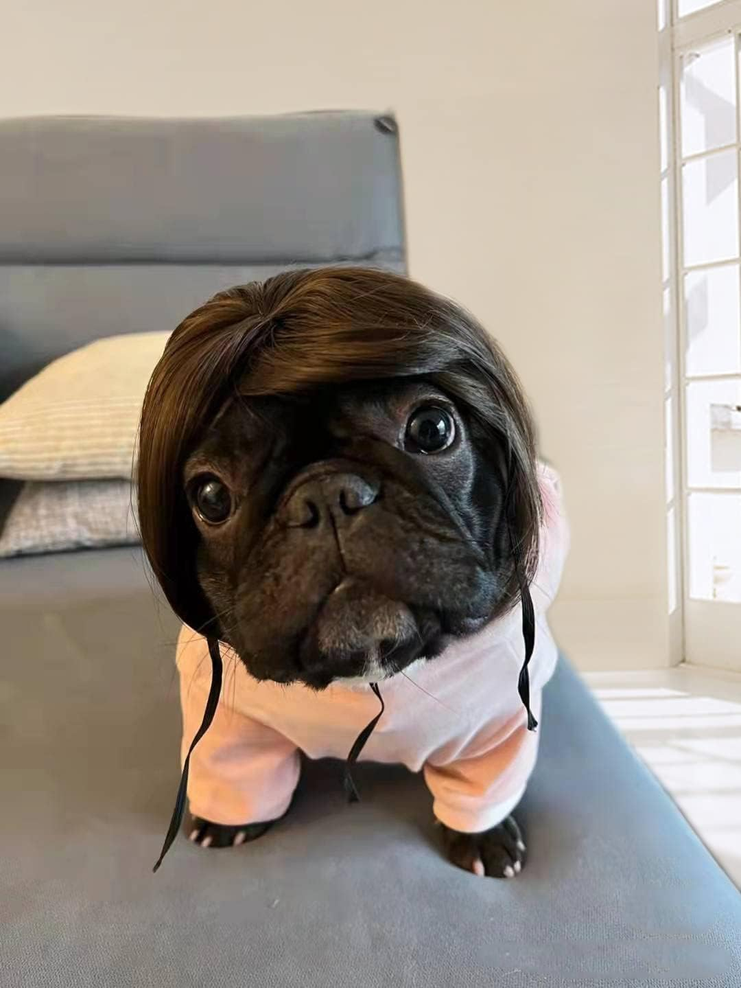 Funny Dog Cat Cosplay Wig, Pet Wigs for Halloween, Christmas, Parties, Festivals, Dog Wigs for Small Medium and Large Dogs (Black Brown Straight Hair) image number 5