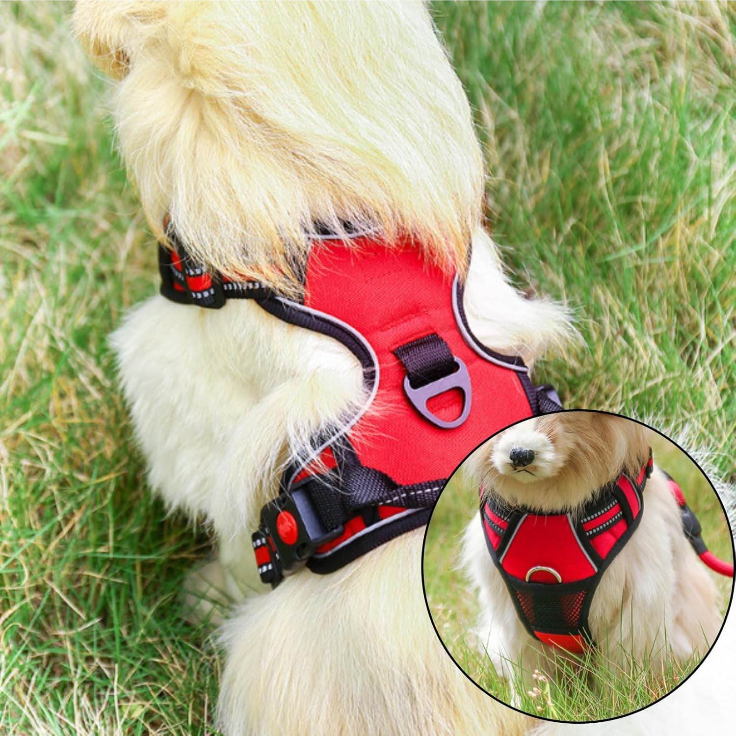 DKDDSSS Dog Harness Medium Dog No Pull Pet Harness Dog Vest Harness, Adjustable Soft Padded Pet Vest Harness, Y Shaped Harness, Dog Harness, Easy Control Handle for Training or Walking, Re image number 4