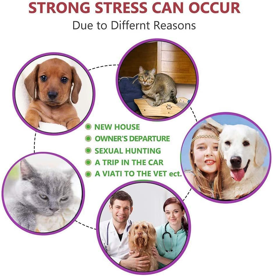 Cat Calming Collar, 3 Pack Calming Collar for Cats, Kitten Pheromone Anti-Anxiety Calm Collars, Adjustable Waterproof Collar up to 15 Inches Fit for Small Medium Large Cats image number 2