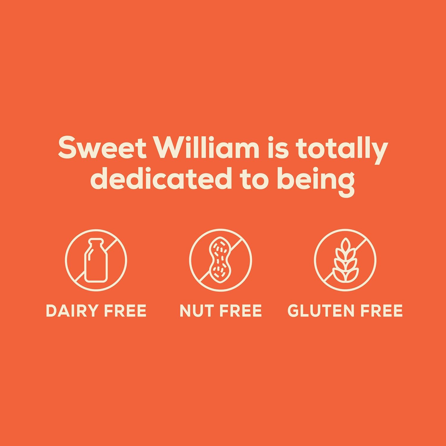 Sweet William Salted Caramel Bar, Sweet and Salty Delight, Individually Wrapped, Dairy-Free, Nut-Free, 30G image number 1