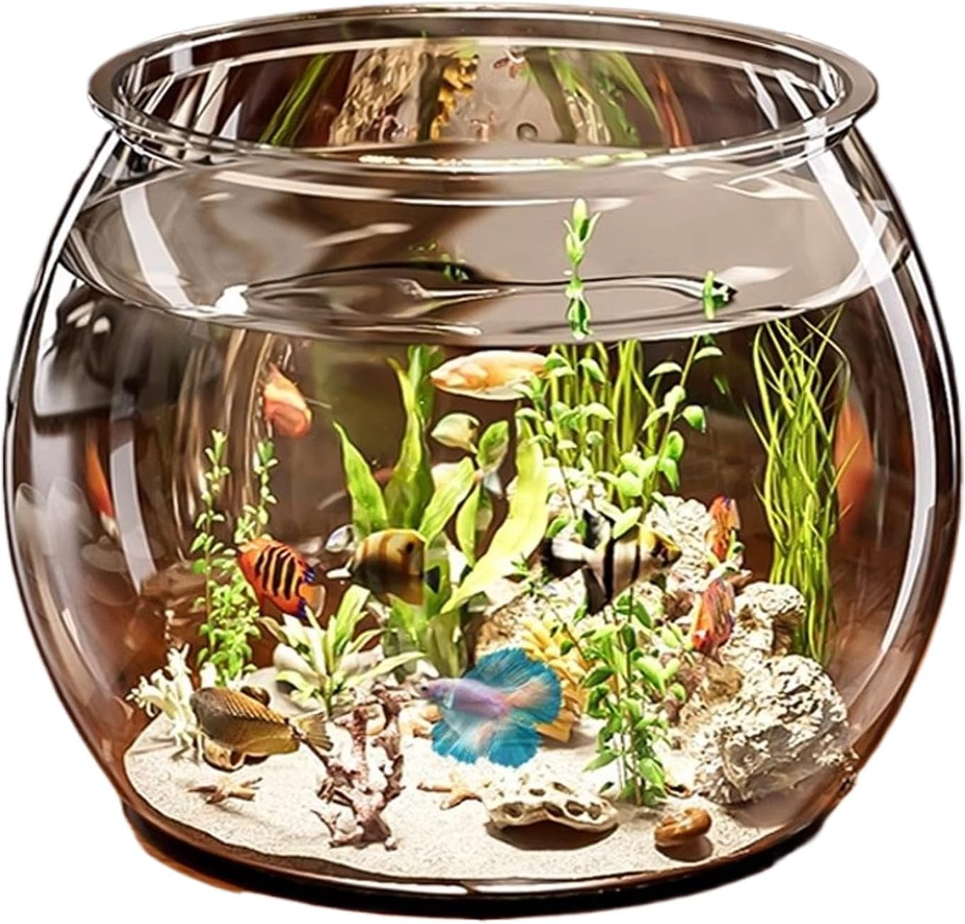 Beta Fish Tank | Clear Guppy Tank Fish Aquarium,Tabletop Ornamental Fish Turtle Aquatic Animal Container Decor for Home Office Display image number 1