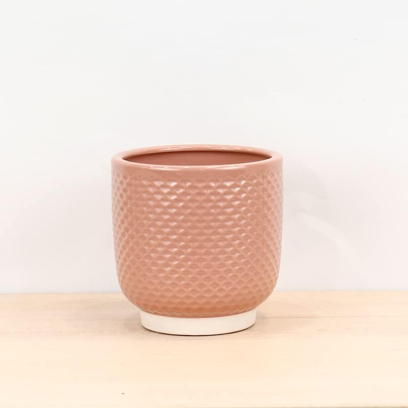 Sill and Sage Shell Pot, Blush, Small