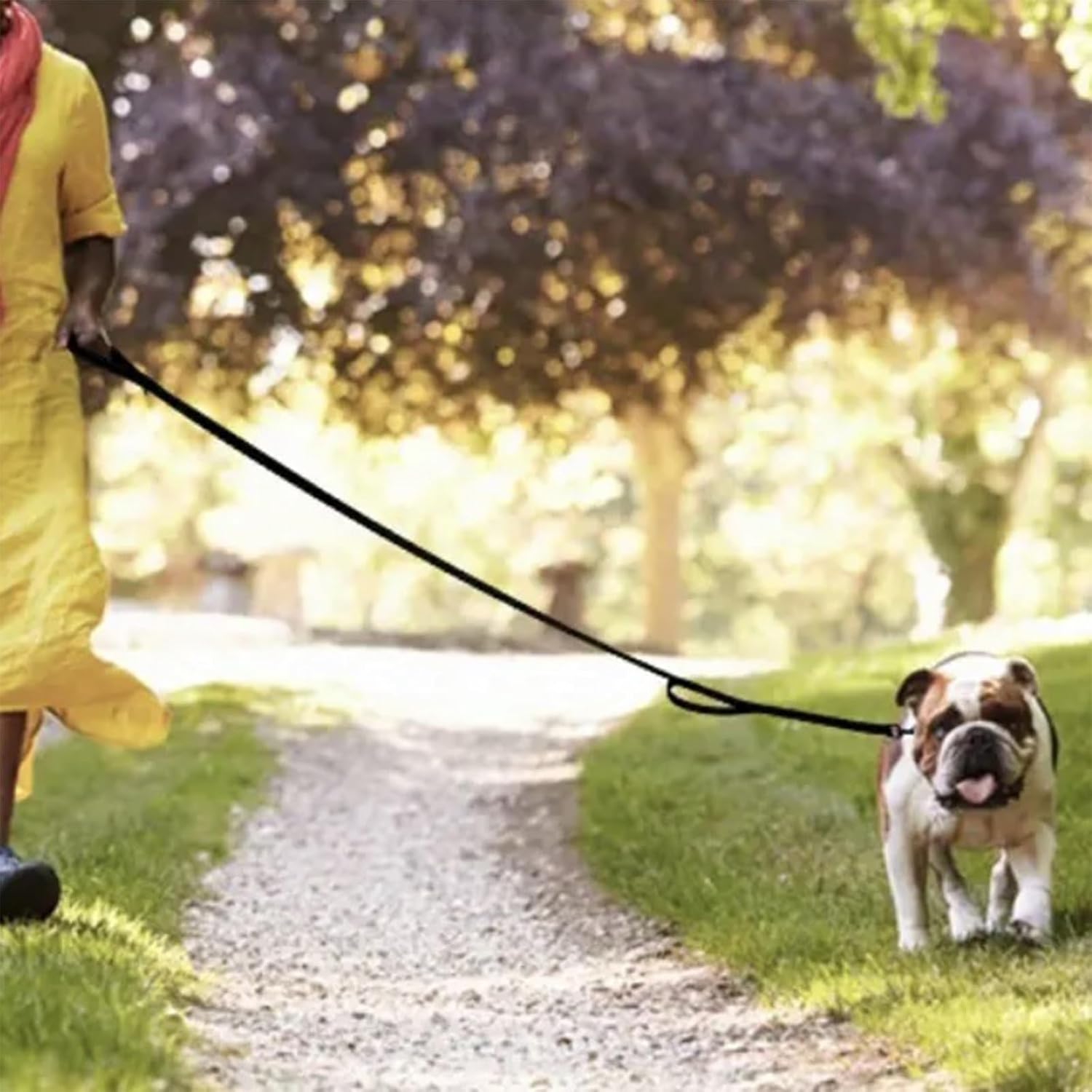 CTOUUGRS Heavy Duty Dog Leash with 2 Handles and Padded Traffic Handle for Extra Control 6 Foot Long for Medium to Large Dogs Black 6Ft