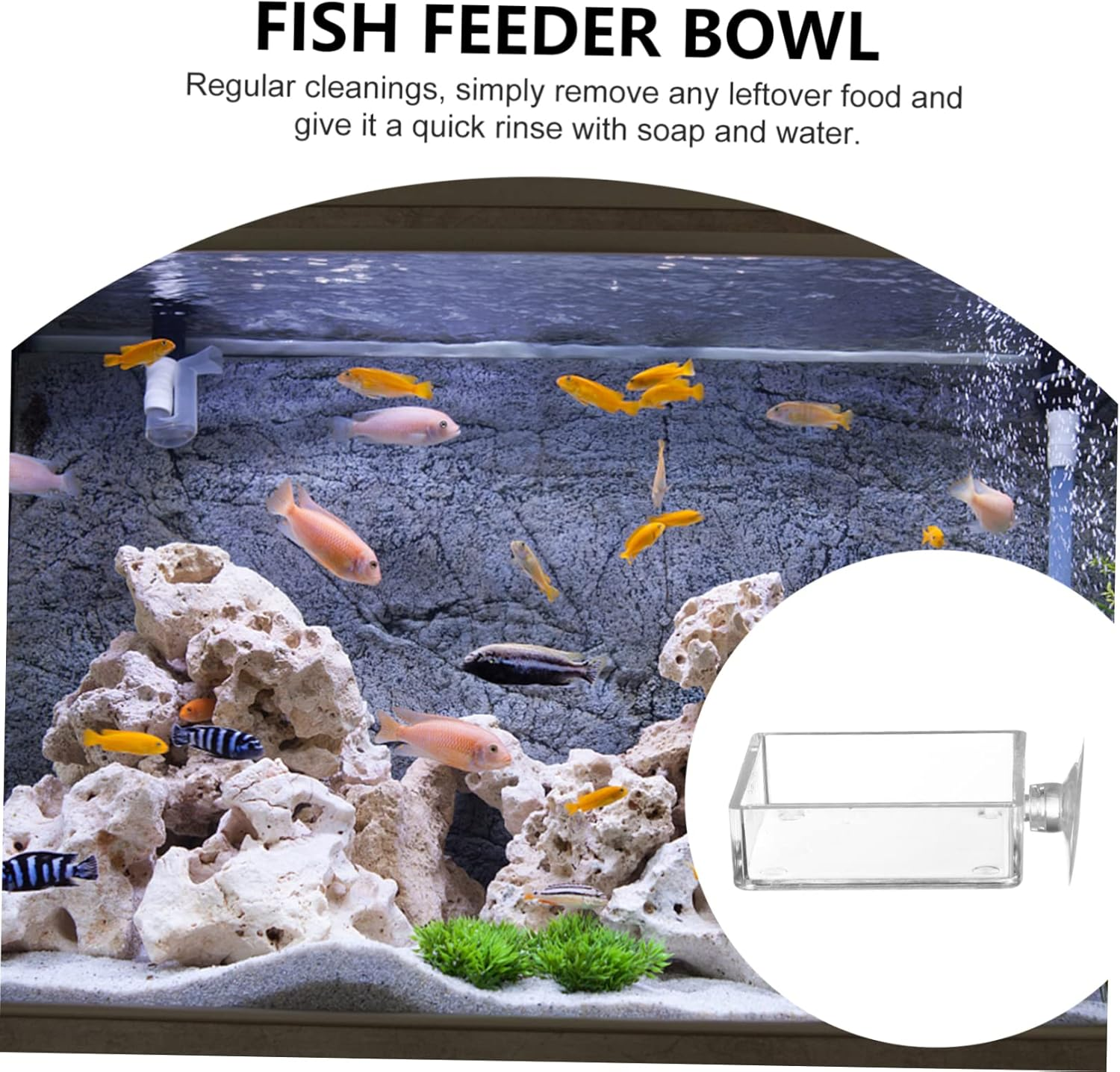 VILLFUL 4Pcs Aquarium Feeding Device Cup Shrimp Feeder Bowl for Fish Tank Easy to Clean Fish Food Dispensing Tray for Aquatic Pets image number 5