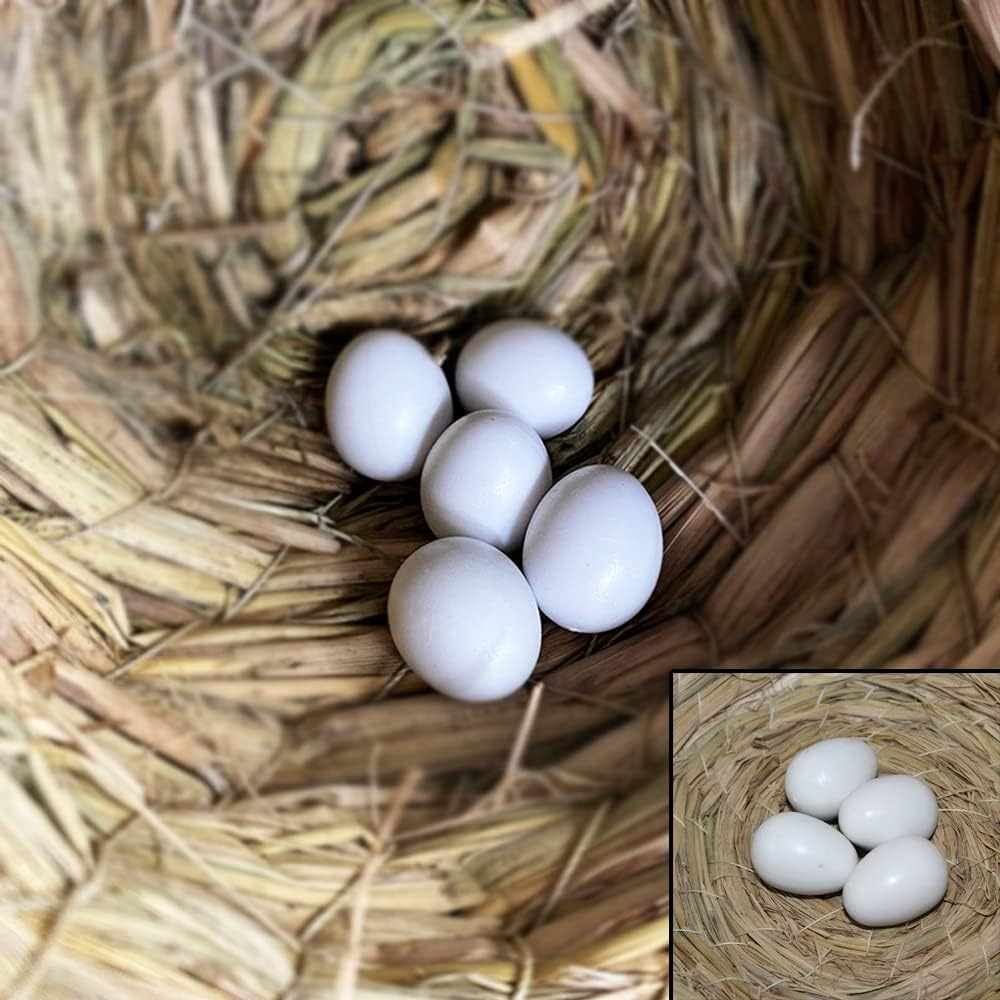 JVHLOV 20X Solid Plastic Dummy Fake Eggs, Dummy Eggs Dove, Simulation Bird Egg Bird Breeding Tool image number 3