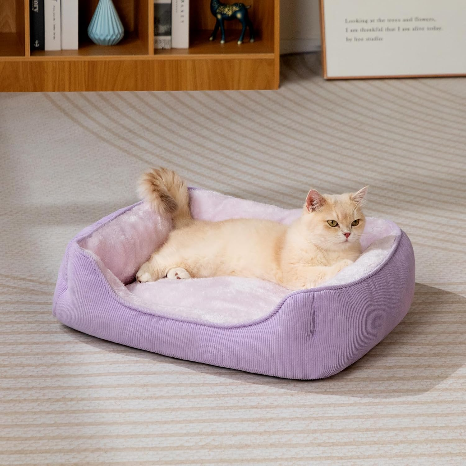 Hollypet Cat Bed Small Dog Bed Pet Bed for Cats and Puppy, Soft Pet Sleeping Bed Breathable Pet Cushion, Purple(55 * 45 * 15Cm) - Rectangle Blue image number 4