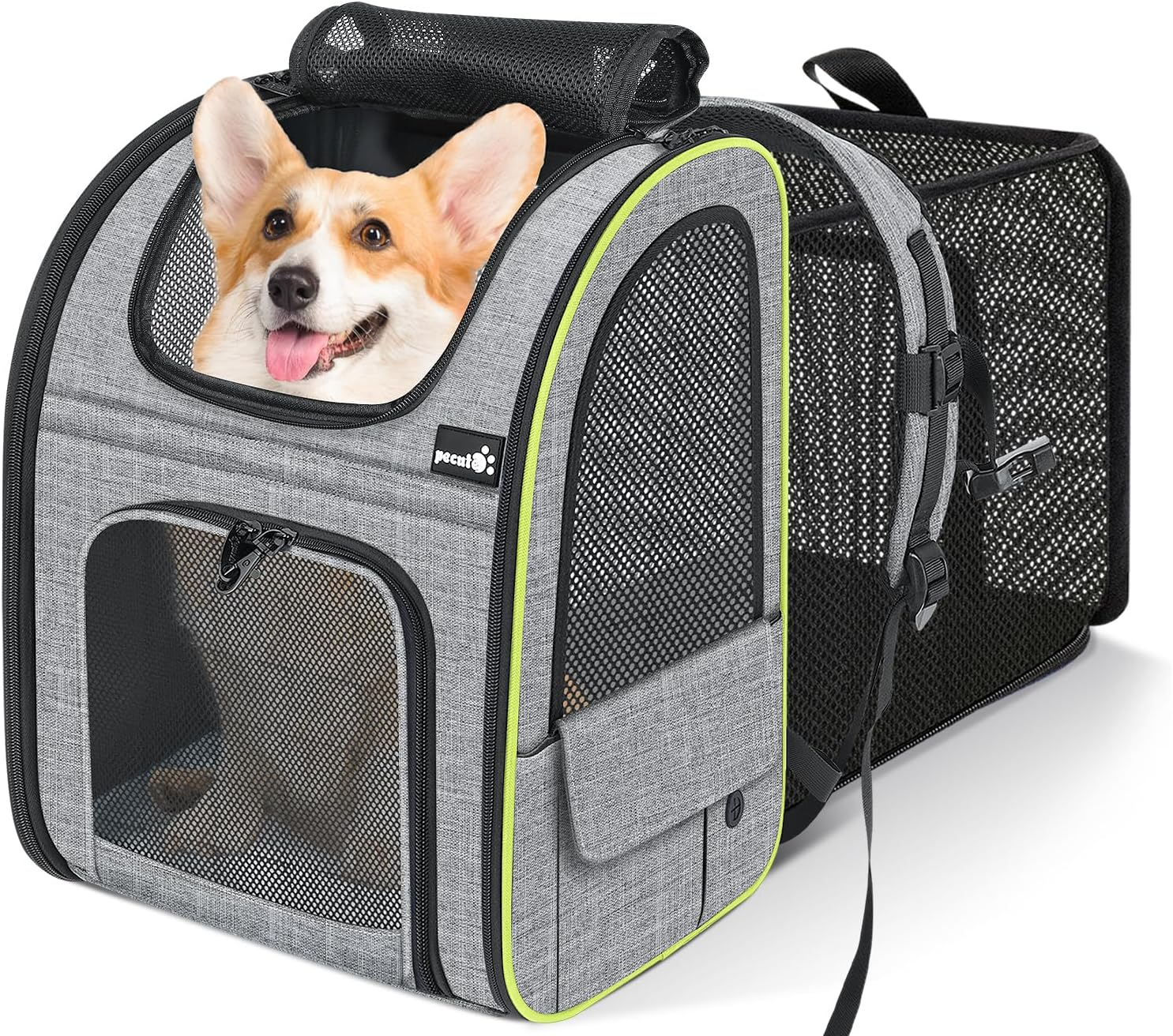 Pecute Cat Carrier, Pet Handbag and Backpack, Pet Carrier with Ventilated Design, Foldable Pet Carrier Backpack for Cats and Dogs, Dog Backpack Carrier with Safety Strap