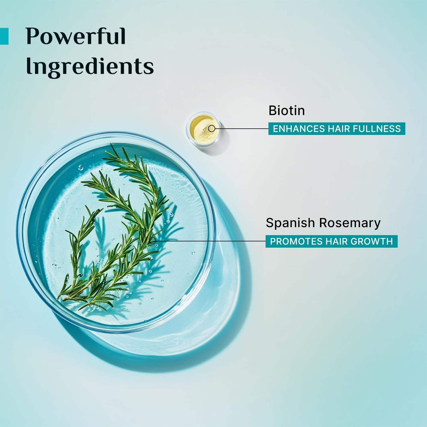 Pilgrim Spanish Rosemary, Biotin anti Hairfall Conditioner for Unisex 200Ml Clear image number 4