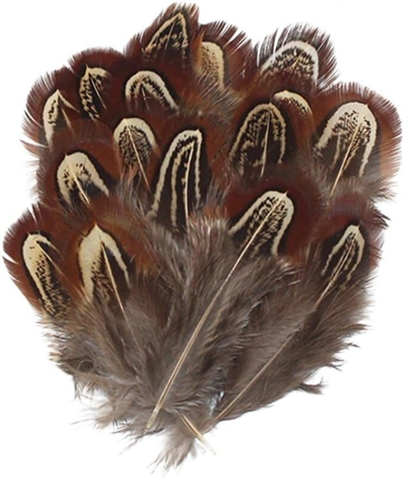 Tofficu Feathers Natural Crafts : Feathers for Crafting - Pheasant Feathers for Dream Catcher DIY Craft Projects image number 2