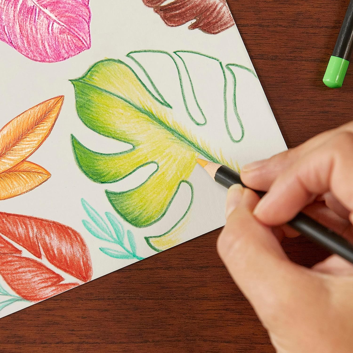 BIC Intensity Premium Colouring Pencil - Pack of 12 Fashion Assorted Wood Colour Pencils image number 4