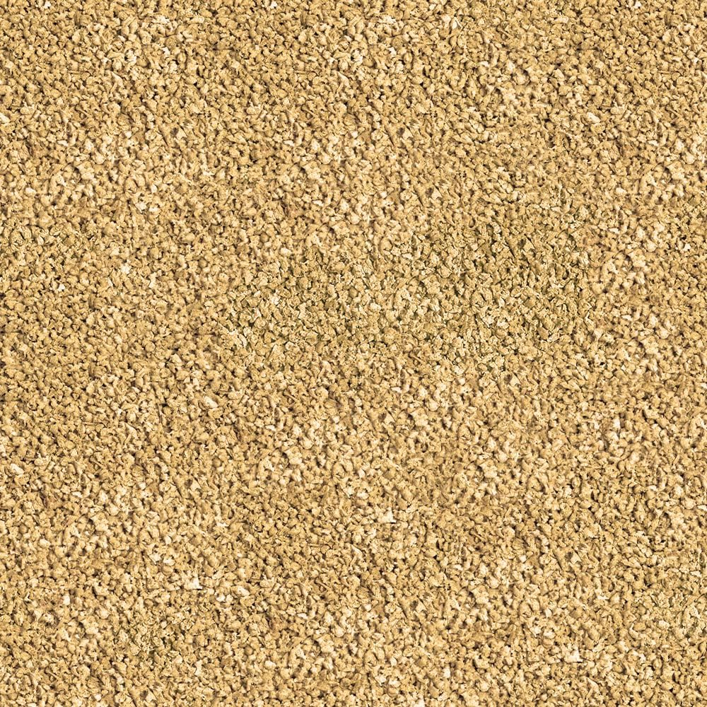 Sera Bettagran Staple Fish Food image number 2