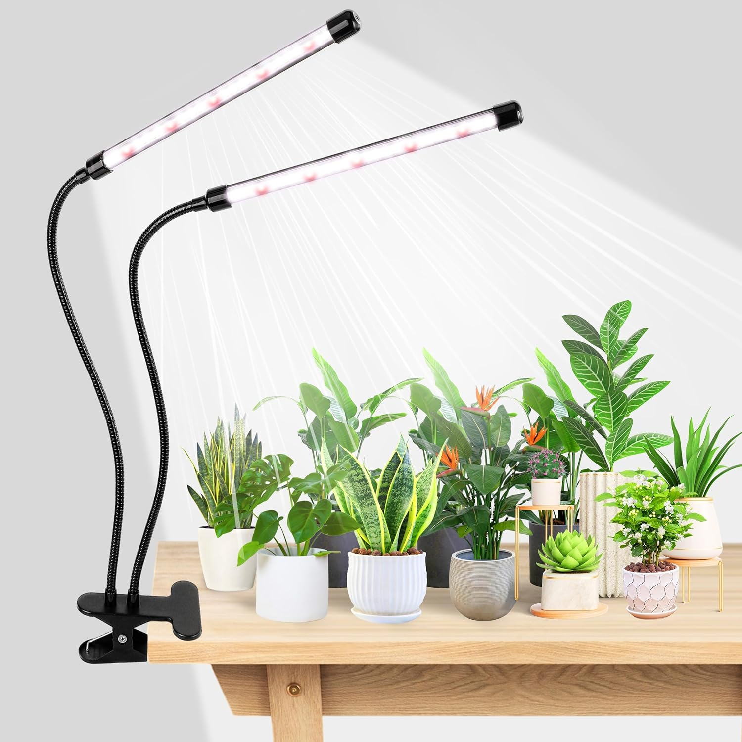 84 LED 6500K Full Spectrum Grow Light with Adjustable Clip - Energy Efficient Plant Growing Lamp for Indoor Plants, Herbs & Succulents(With AU Adapter) (2 Lamps)