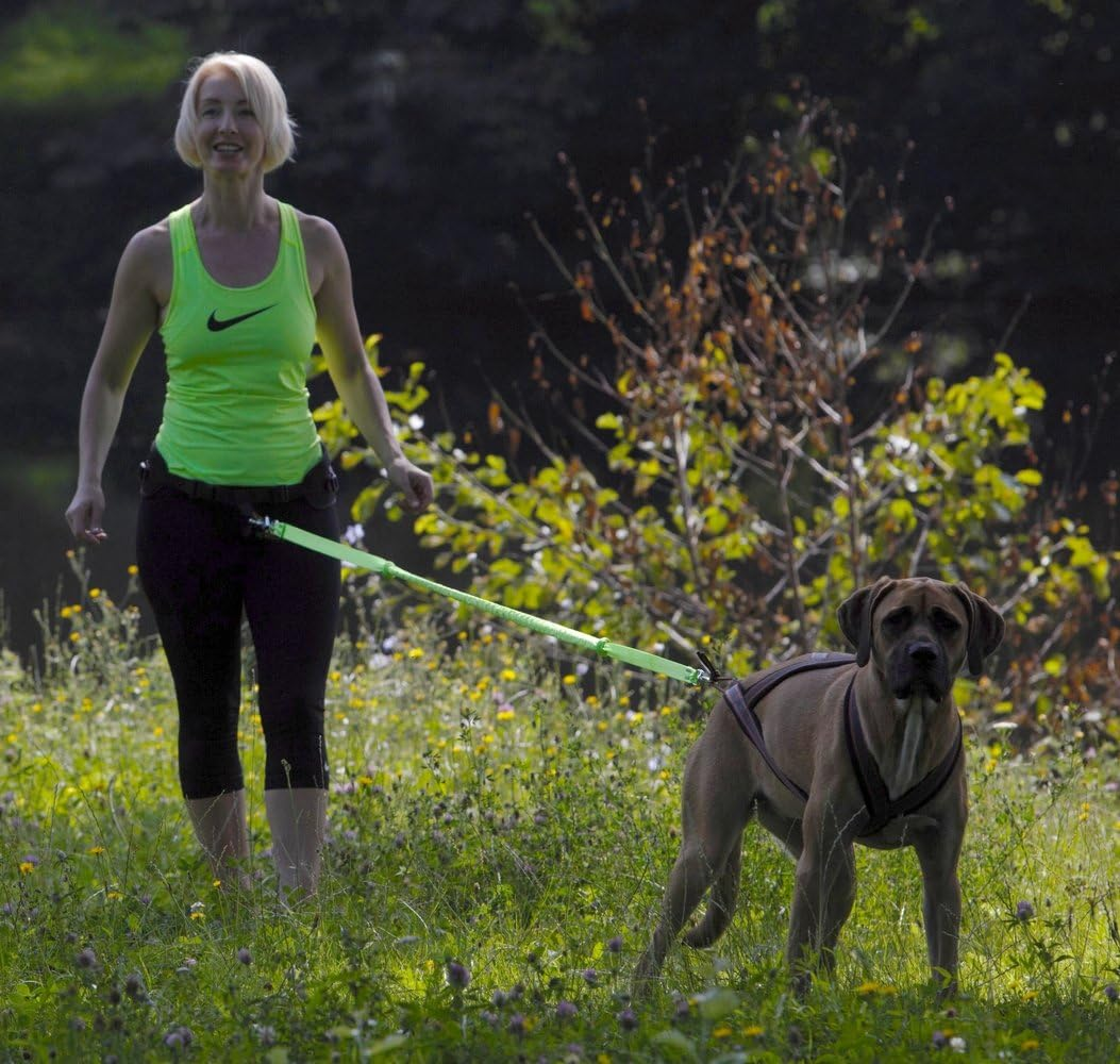 Dingo Universal Shock-Absorber Canicross Leash with 2 Hooks for Running, Jogging, Training Sport with Dog, Handsfree Lead Pink 14697 image number 6