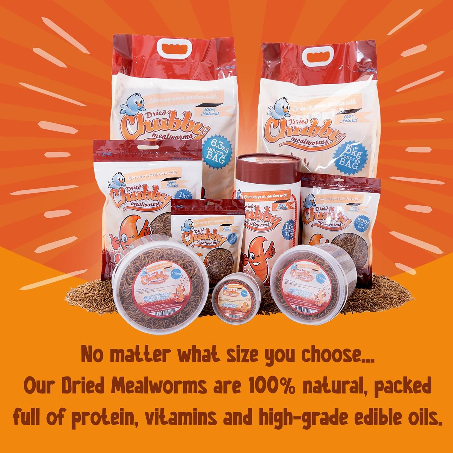 Chubby Mealworms (2 Kg), Dried Mealworms for Wild Birds, Protein Rich Dried Meal Worms High Energy Dried Mealworms for Birds, Reptiles, Gecko image number 1