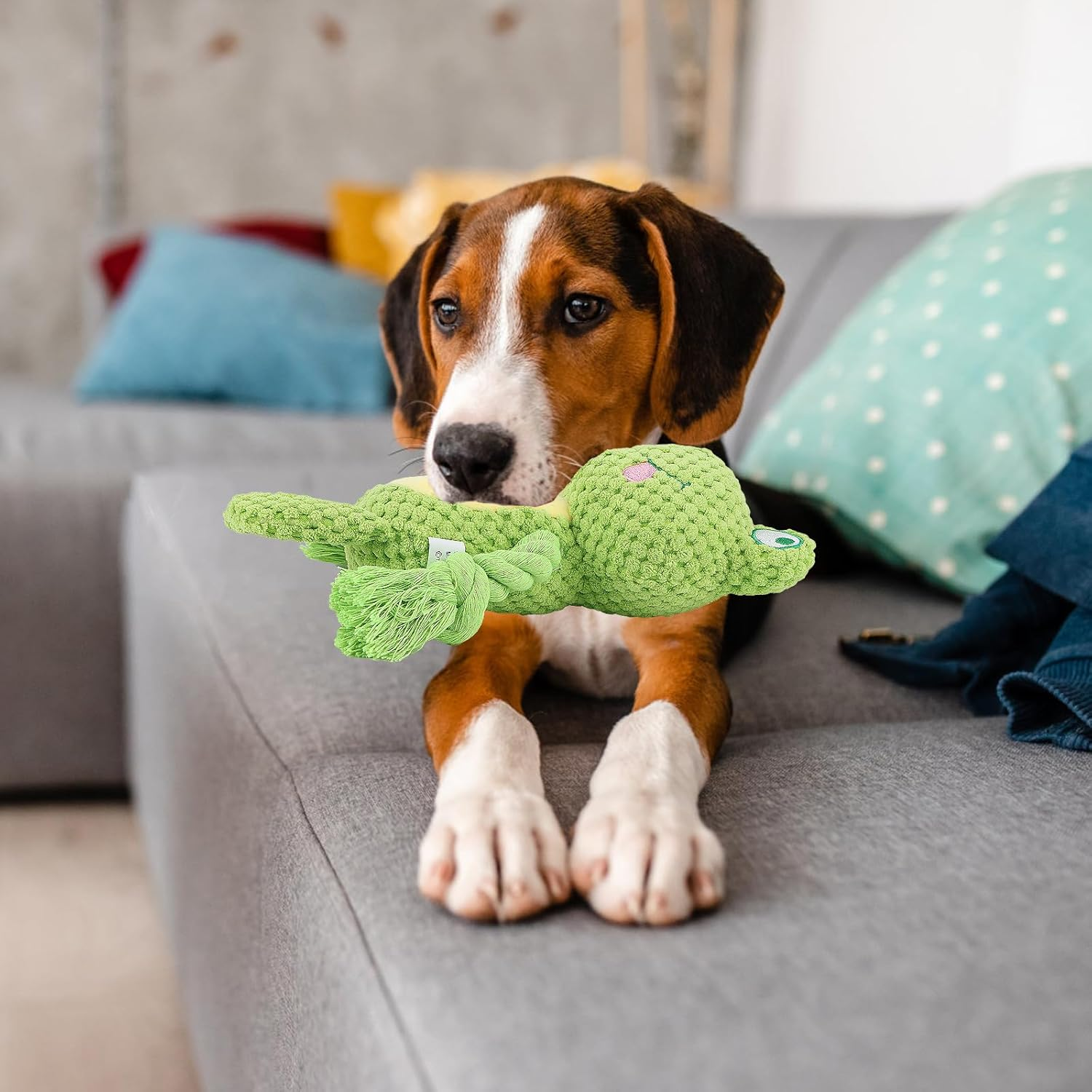 AKONE Dog Toy: Chew Toy, Squeaky, Interactive Plush Toy for Small and Medium Dogs, Frog Shape Chew Rope Toy image number 1